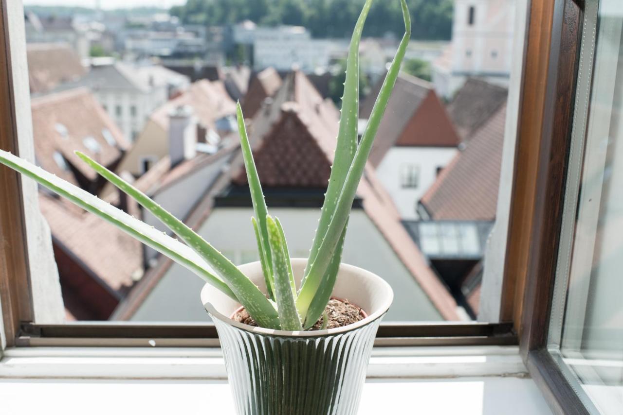 Stadthotel Styria ستير المظهر الخارجي الصورة