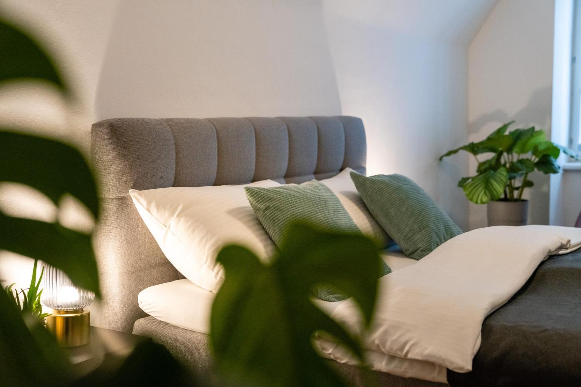Stadthotel Styria ستير المظهر الخارجي الصورة